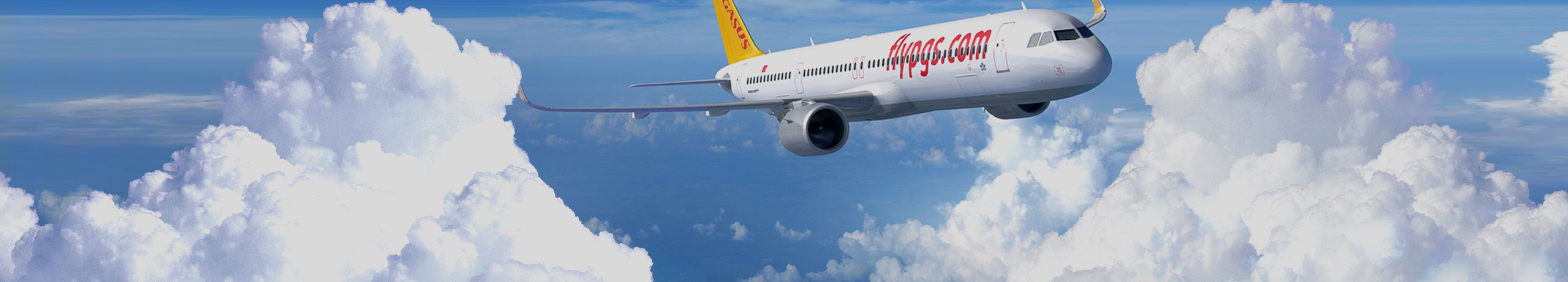 Pegasus Airlines