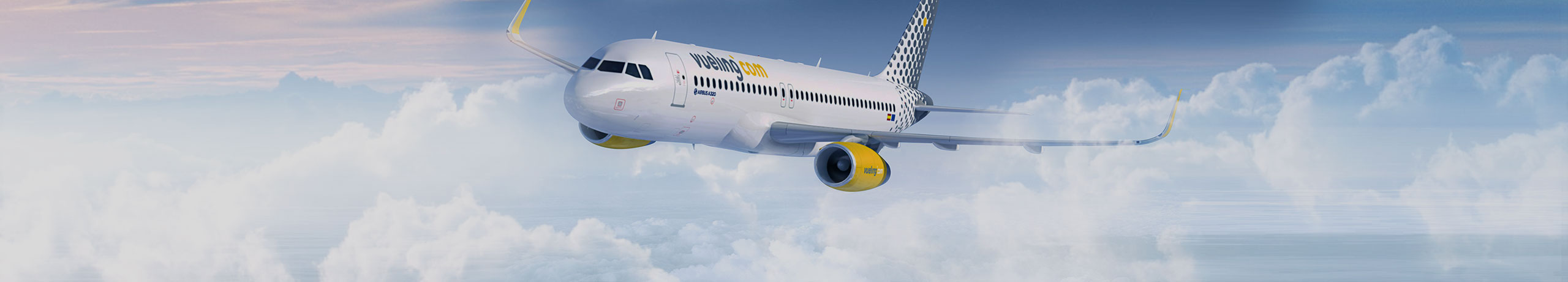 Vueling