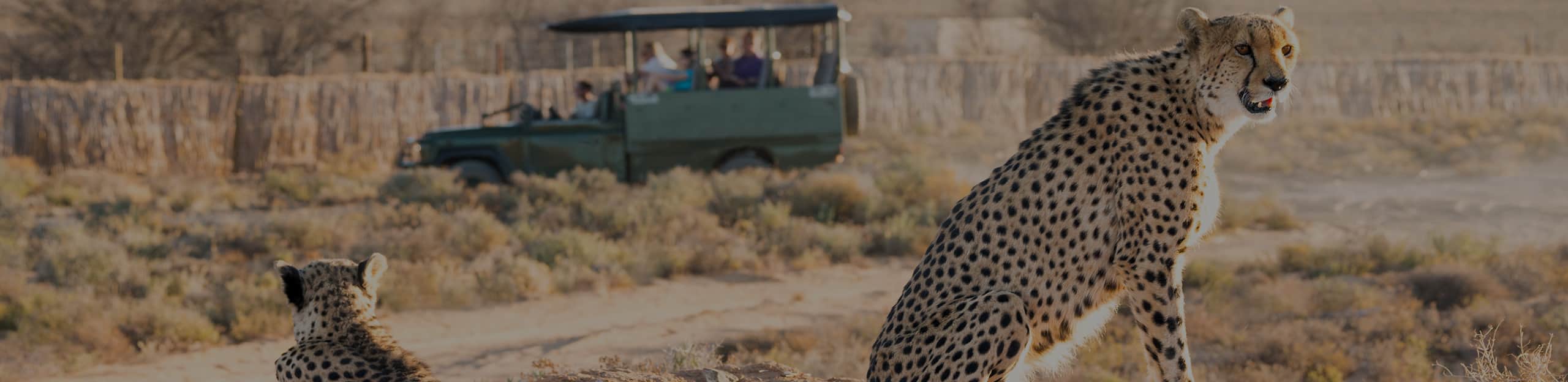 Africa